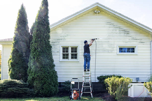 Best House Exterior Washing  in Buckley, WA